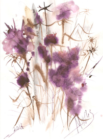 Полевые цветы №1