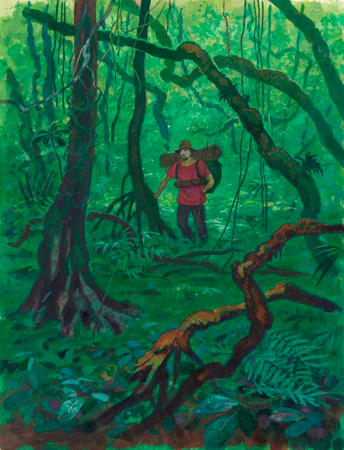 илл. к книге О.Колпаковой "Джунгли"