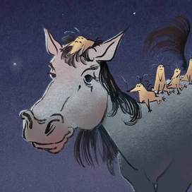 Вечерние прогулки