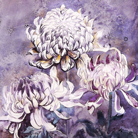 "Хризантемы".