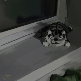 Плюшевая кошка в подъезде 