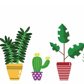 Plants 