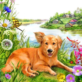 для детской книжки