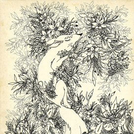 очередной лис