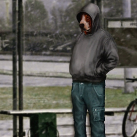 Флегма-бассет