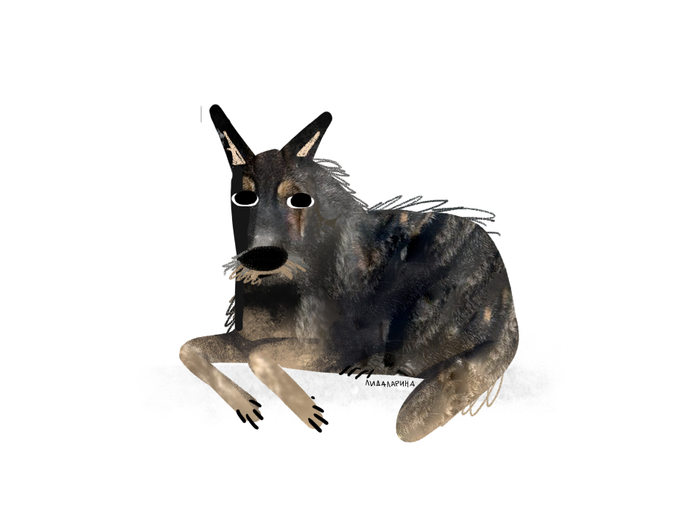 дворняжка 2