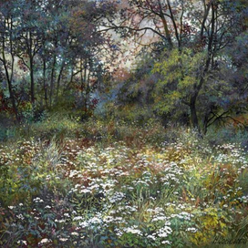 Цветенье летних трав