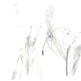 Сны. Ли Юнас "Волшебная рыба"