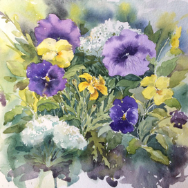 Петуньи и виолы