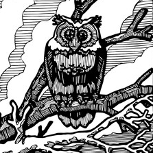 Таинственный лес