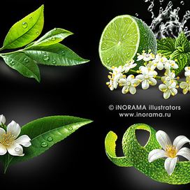 Иллюстрации для чая.