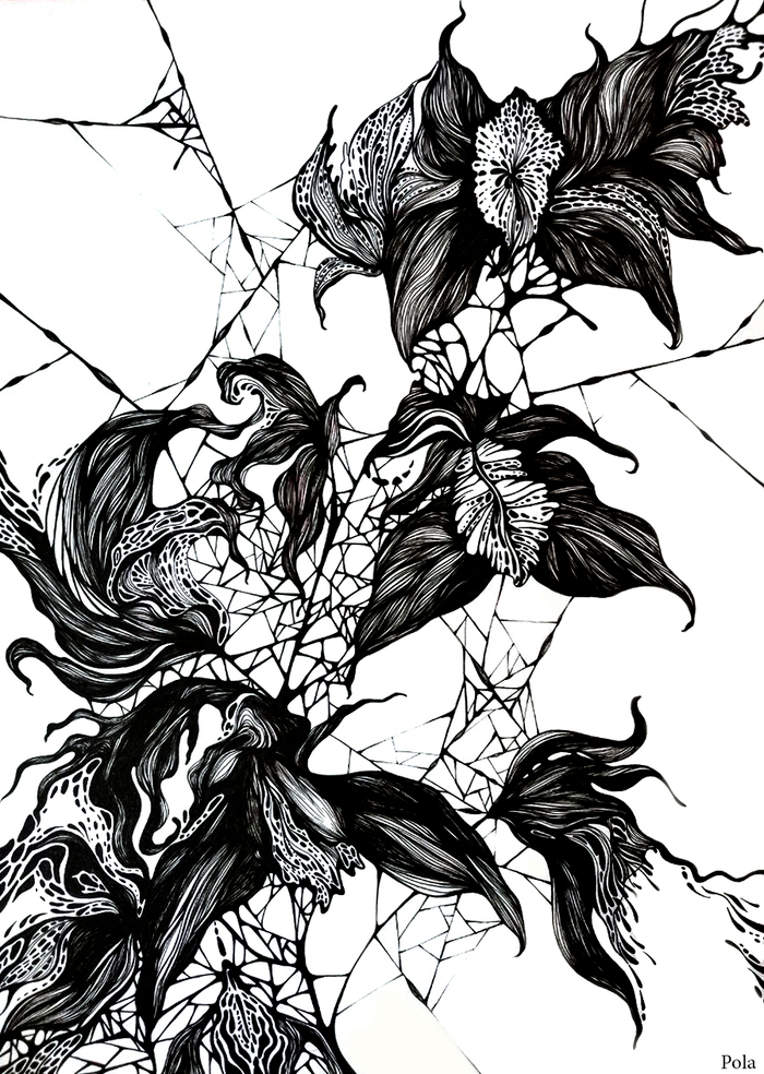 Орхидеус химерус