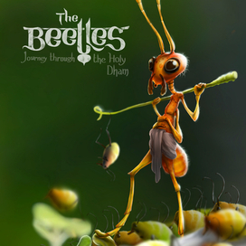 Муравейка пастушок