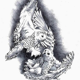 Молниеносный. 4-1