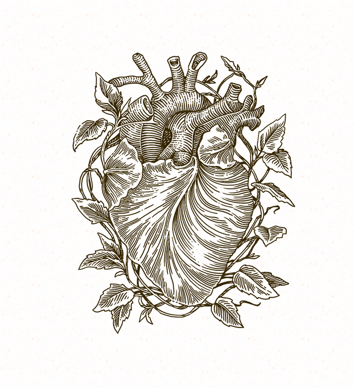 принт сердце