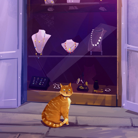 Котик в Будве