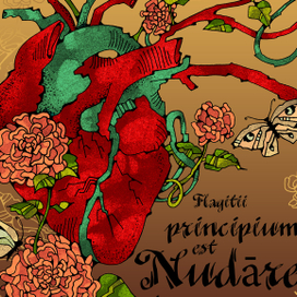  Anatomy and Life: uncovered in sight