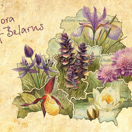 Flora of Belarus