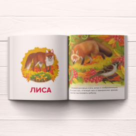 Книга "Первые слова"