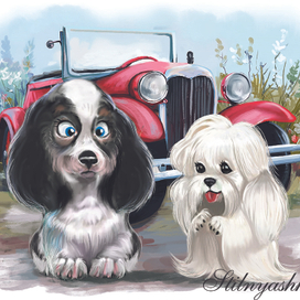 Иллюстрации к принтам