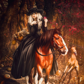 Любит-не-любит