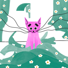 Один день из жизни Пинки