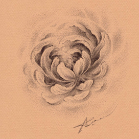 Японский пион