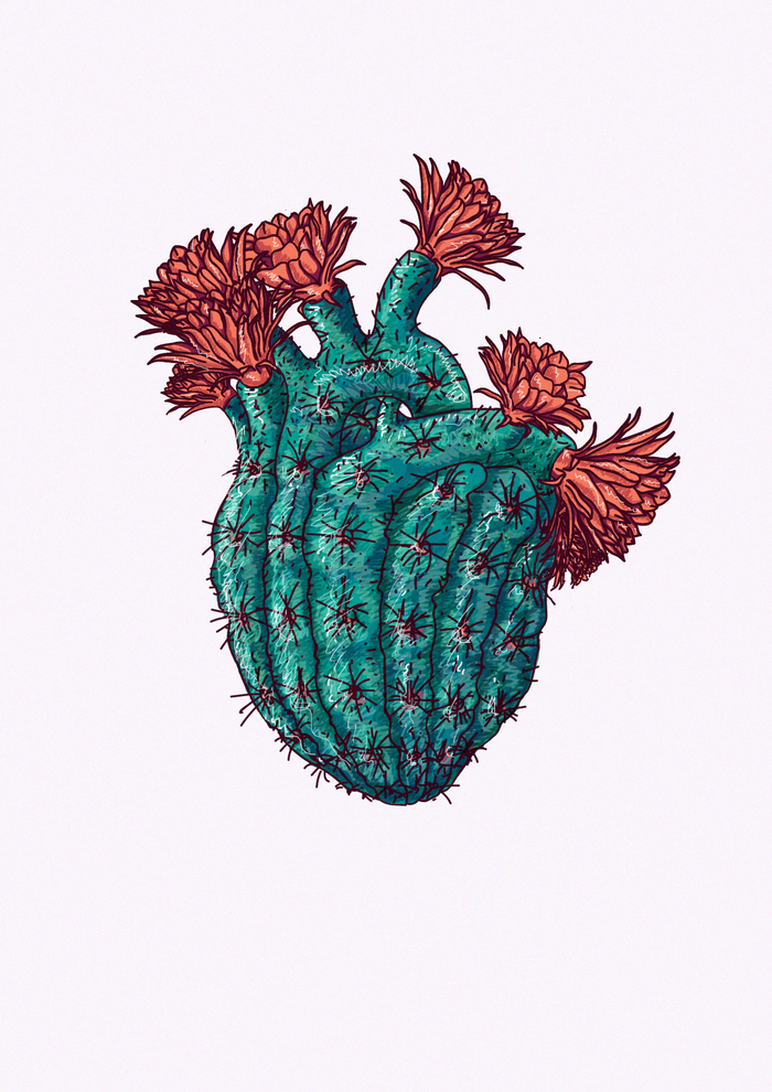 Cactus