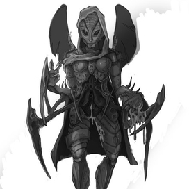 D'VORAH [REDESIGN CONCEPT]