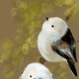 синицы ополовники