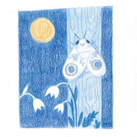 Ночь,луна и мотылек