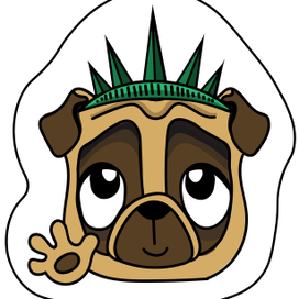 Мопс-ньюйорковец для конкурса от Viber