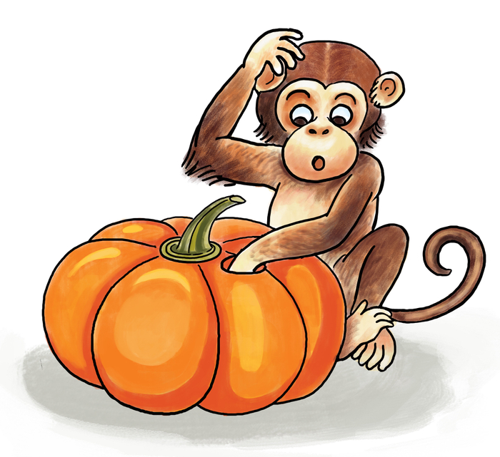 Monkey with pumpkin