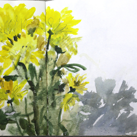 Из альбома для набросков