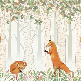 Лисы в березах