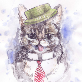 Кот в шляпе