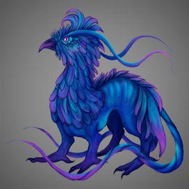 Взрослый Шиэ