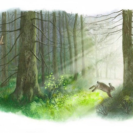 Раннее, очень раннее утро