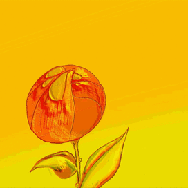 распускающийся цветок3