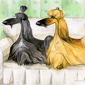 Ждуны. Серия «Любимые афганы».