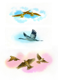 Заставки. Птички.