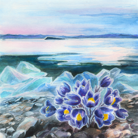 Утро природы