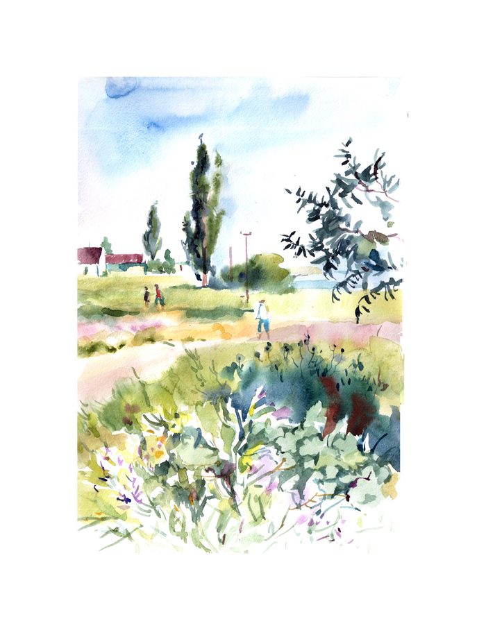 летний этюд