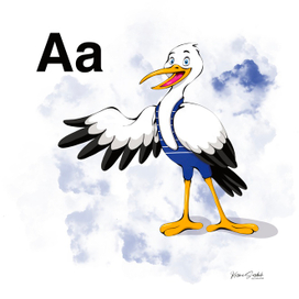 Алфавитные карточки