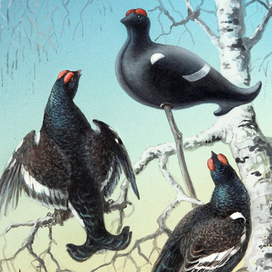 А ты кто такой ?...