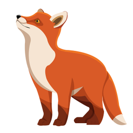 fox