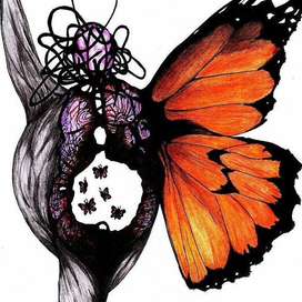 бабочки в животе