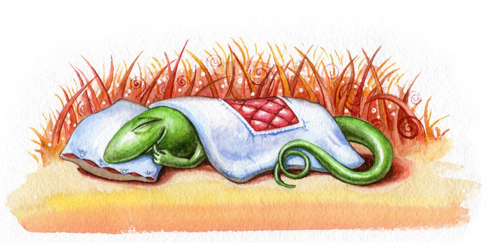 Sleeping lizard