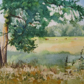 Летний пейзаж