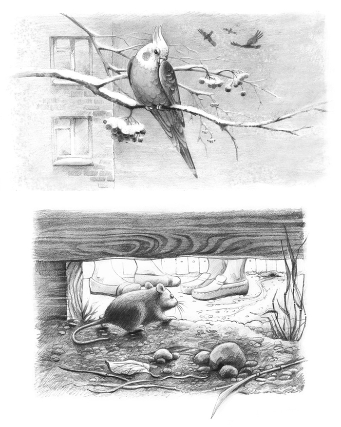 Иллюстрации к рассказам оживотных